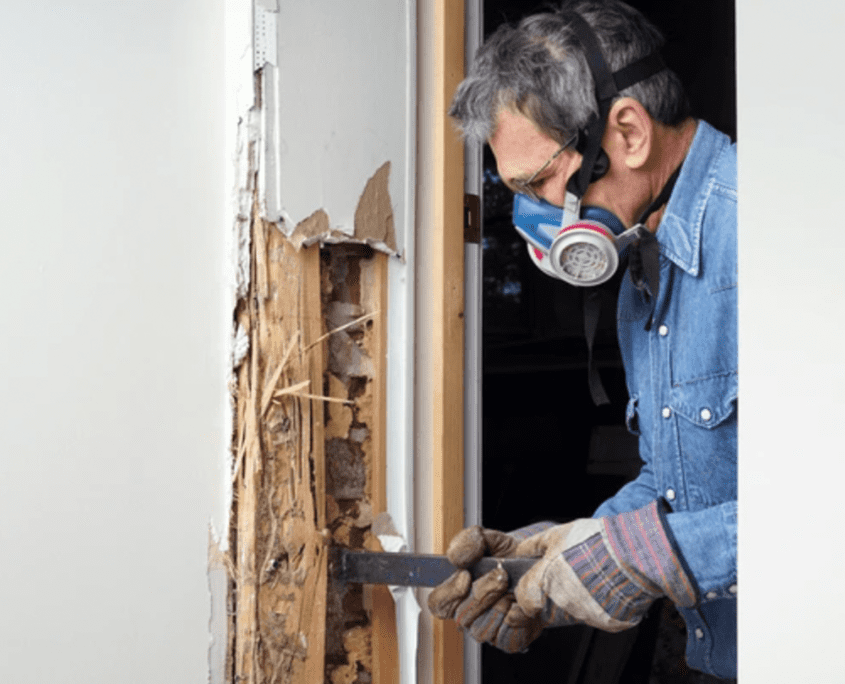 Termite Damage Repair at Ponderosa Painting