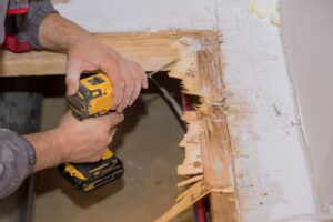 Termite Repair: Restore and Protect with Expert Services